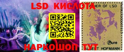 эйфоретик Малгобек