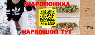 эйфоретик Малгобек