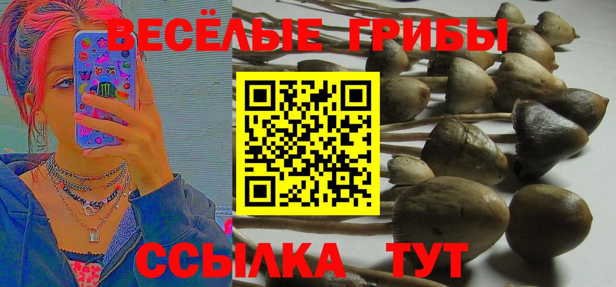 где продают   Вход с VPN  Галлюциногенные грибы MAGIC MUSHROOMS  Сосновоборск  Галлюциногенные грибы Magic Shrooms 