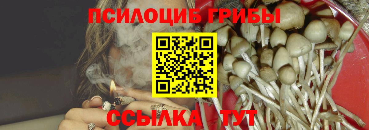 Галлюциногенные грибы MAGIC MUSHROOMS Сосновоборск